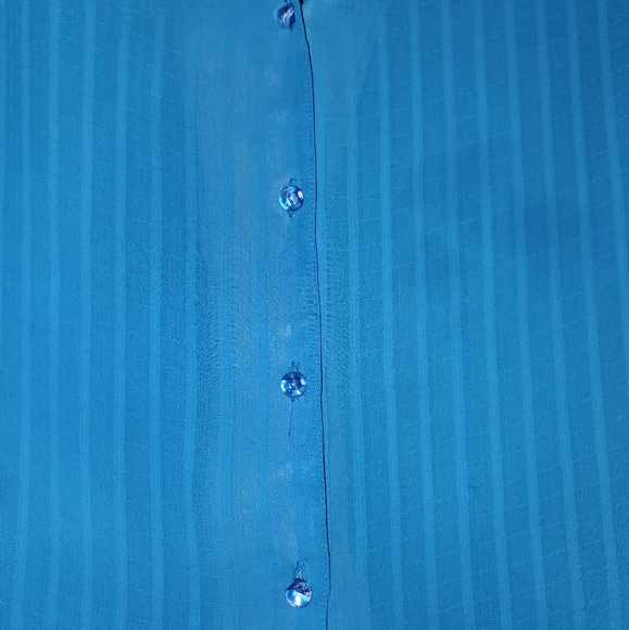 Steven Barry Blue sheer blouse - Picture 2 of 7